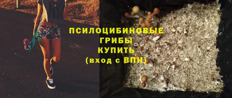 Псилоцибиновые грибы Psilocybine cubensis  наркота  omg рабочий сайт  Павловский Посад 